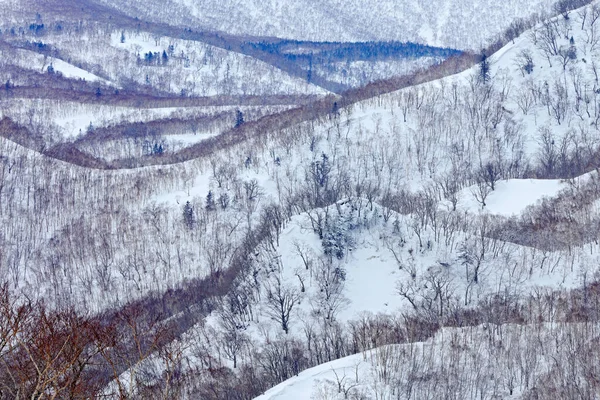 Rausu Uma Montanha Localizada Distrito Menashi Subprefeitura Nemuro Hokkaido Bela — Fotografia de Stock