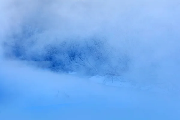 野生动物的场景 多雪的自然 桥式起重机日本的一个冬季 大雪连绵 有雾的鸟在河里 北海道 寒冷的日本水中的红冠鹤 — 图库照片