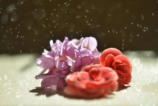 Blue flower under rain drizzle with blue water drops