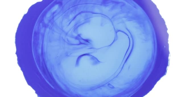 彩色油漆油墨爆炸扩散精神爆炸运动 柔和的颜色 抽象的构图 带蓝色和白色镶边背景的丙烯酸纹理 — 图库视频影像