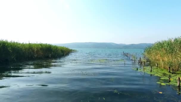 Wideo Lotu Ptaka Widok Rzekę Trzcinami Jezioro Sapanca Turcji Stare — Wideo stockowe