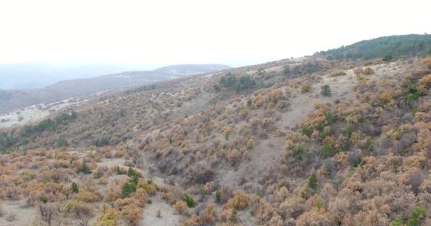 Φθινοπωρινό Δάσος Εναέρια Άποψη Kizilcahamam Στην Τουρκία Φθινόπωρο Ορεινό Τοπίο — Αρχείο Βίντεο