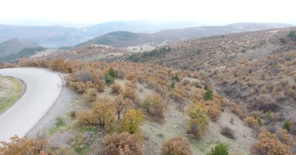 Vista Aérea Del Bosque Otoño Otoño Paisaje Montaña Vista Aérea — Vídeos de Stock