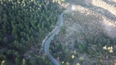 Sonbahar manzarasında dağ ve orman yolunda seyahat eden bir araba. seyahat ve seyahat konsept drone video. 