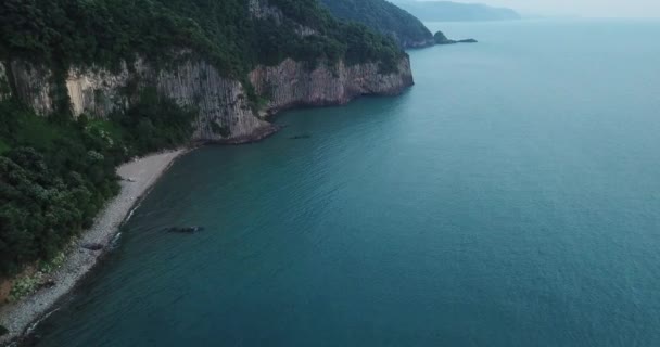 Baldachýn Zelených Stromů Drsné Černé Moře Tvář Mořem Pozadí Drone — Stock video