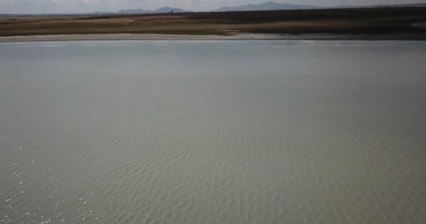 Volare Sopra Flamingos Vista Aerea Veduta Aerea Dei Fenicotteri Konya — Video Stock