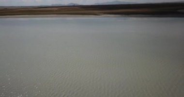 Flamingo Hava Manzarası üzerinde Uçmak. Türkiye 'nin Konya kentindeki flamingoların hava görüntüsü. Flamingo sürüsü, göl ve bulutlu gökyüzü manzarası 
