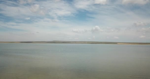 Volare Sopra Flamingos Vista Aerea Veduta Aerea Dei Fenicotteri Konya — Video Stock