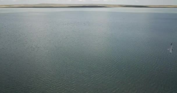 플라밍고 상공을 공중에서 터키의 코냐에 홍학을 수있습니다 호수와 구름낀 하늘의 — 비디오