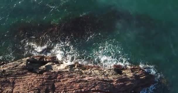 Воздушный Вид Вершину Волны Разбивается Скалы Голубом Океане Морские Волны — стоковое видео