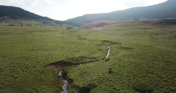 Superficie Montañosa Una Meseta Cubierta Hierba Bosque Vista Del Dron — Vídeos de Stock