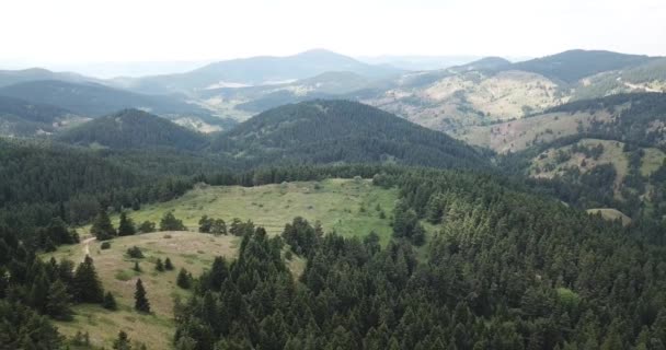 Kopcovitý Povrch Horské Náhorní Plošiny Pokrytý Trávou Lesem Výhled Dron — Stock video