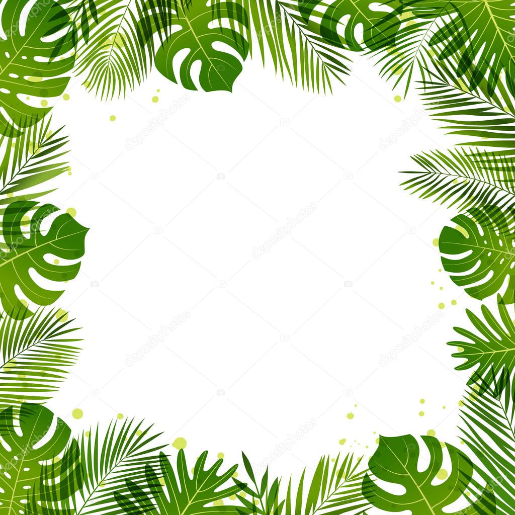 Summer frame of palm leaves. Tropical plants. Vector illustration.