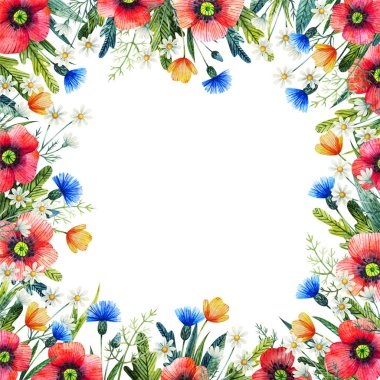 Kır çiçekleri suluboya çerçeveli. Poppies, peygamber çiçeği, papatya. Elle çizilmiş illüstrasyon.