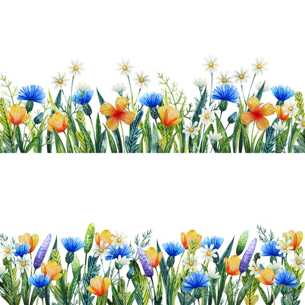 水彩花卉模板为您设计。手绘水彩野花。矢车菊、甘菊和草. — 图库照片