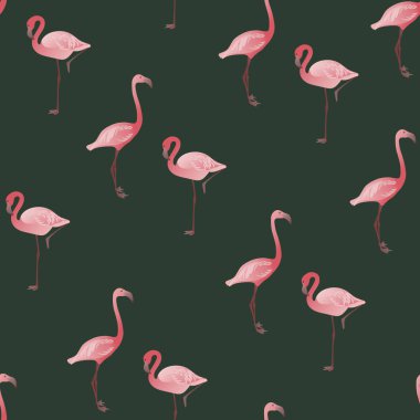 Pembe flamingo ile Seamless modeli. Vektör yaz arka plan.