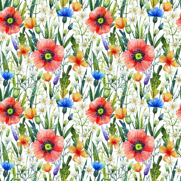 Akvarelu Vzor Bezešvé Máky Chrpy Heřmánku Květinové Pozadí Ručně Kreslené — Stock fotografie