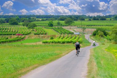 Küçük çocuk peluş kankasına işemeyi öğrendi. Retro biçimi