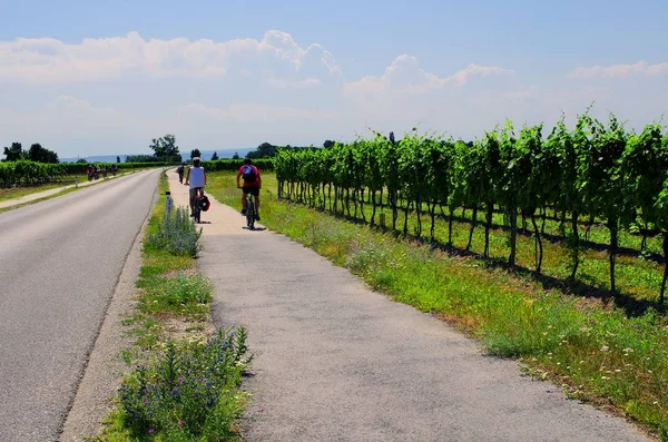 Ciclocarril frente al lago Neusiedl — Foto de Stock