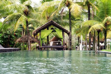 Lüks otelin yüzme havuzu ve Relax şezlong palmiye ağaçları gibi doğa ve yeşilliklerle çevrili. Kavramı: gevşeme, lüks, resort ve spa