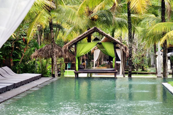 Hôtel Luxe Avec Piscine Chaises Longues Pour Détendre Entouré Verdure — Photo