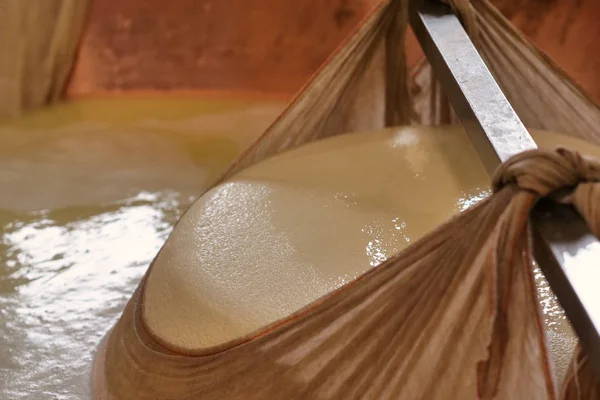 Casaro Prepara Una Forma Parmigiano Con Latte Fresco Bio Lavorazione — Foto Stock