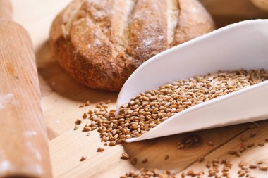 Ekmek, un ve susam tohumu bileşimi. Bir semboldür, İtalyan yemekleri ve işçilik ekmek. Kavramı: iyilik, sağlıklı ve hakiki gıdalar, ekmek ve un.