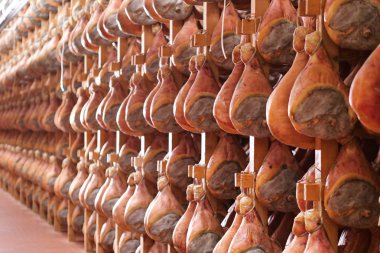 Bir jambon fabrikada hams eski İtalyan geleneğe göre çeşitli işlemler geçirmiş sonra sezon özgeçmişinde vardır. Kavramı: gelenek, İtalya, gıda