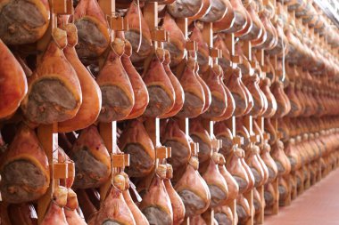 Bir jambon fabrikada hams eski İtalyan geleneğe göre çeşitli işlemler geçirmiş sonra sezon özgeçmişinde vardır. Kavramı: gelenek, İtalya, gıda