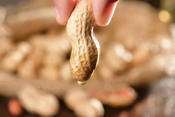 Macro shot, peanuts and a drop of oil falling on them, as a symbol of a genuine peanut oil and good, great for frying. Concept: bio, peanuts, fries.