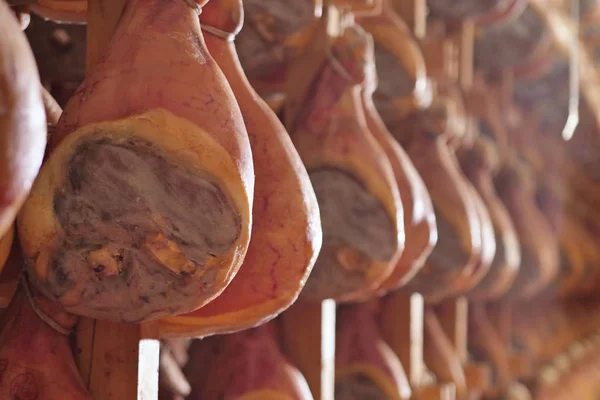 在一家火腿肠工厂里 按照意大利古代传统经历了各种工艺后 会有火腿挂在季节里 意大利 — 图库照片