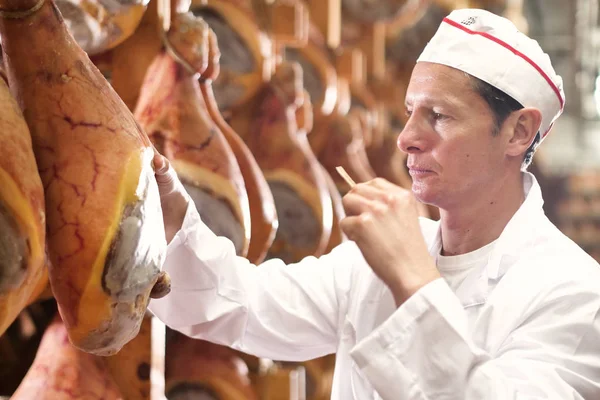 In a ham factory, a man in charge of quality control walks between the hams and controls, the perfume and the certified Italian quality. Concept of: tradition, Italy, food, ham