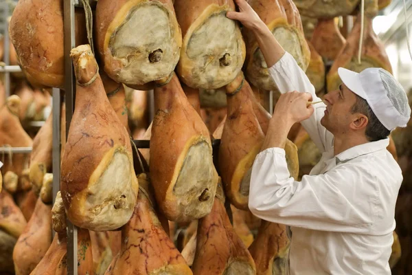 Man Controle Ruikende Parmaham Vlees Fabriek — Stockfoto