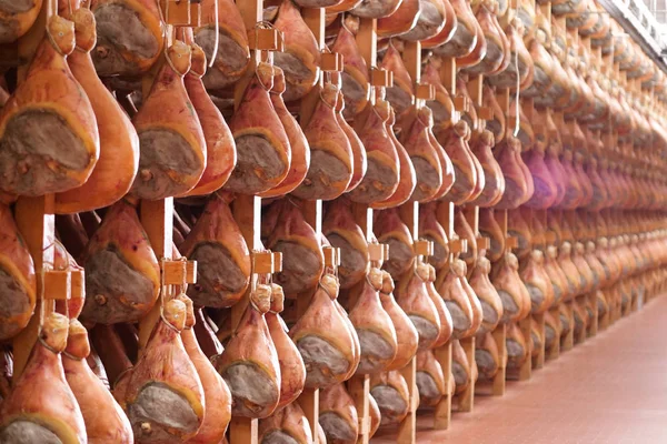 Sebuah Pabrik Ham Ada Hamster Yang Digantung Untuk Musim Setelah — Stok Foto