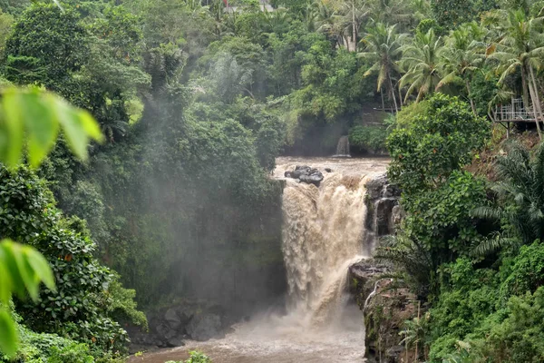 Sebuah Air Terjun Megah Tenggelam Hutan Dan Vegetasi Liar Konsep — Stok Foto