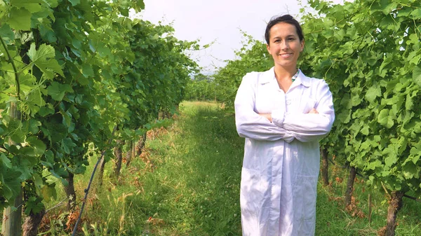 Scientifique Médecin Femme Manteau Blanc Debout Dans Vignoble Vert Avec — Photo