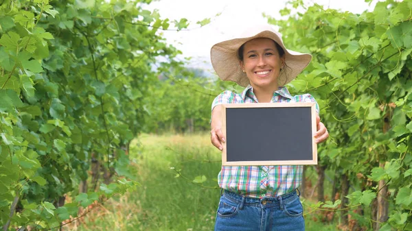 Agricultor Mulher Chapéu Plantação Campo Uva Segurando Quadro Negro Para — Fotografia de Stock
