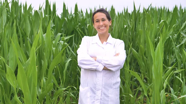 Cientista Médico Mulher Casaco Branco Campo Milho Verde Com Braços — Fotografia de Stock
