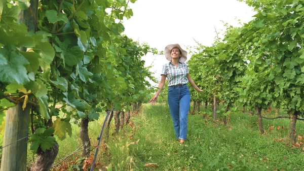 Agricultor Profissional Mulher Caminhando Plantação Campo Uva — Fotografia de Stock