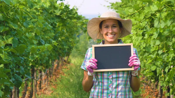 Agricultor Sorridente Mulher Plantação Campo Uva Segurando Quadro Negro Para — Fotografia de Stock