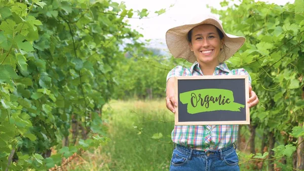 Farmer Ültetvény Szőlő Mező Állandó Tábla Szöveg Gazdaság Ökológiai — Stock Fotó