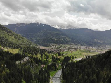 dağlar yaz mevsiminde ağaçlar ve akan vahşi nehir orman 