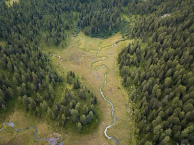Ağaçları ve çim güzel güneşli bir günde çevrili Gölü nün güzel manzara. Konsept: Doğa, seyahat, özgürlük