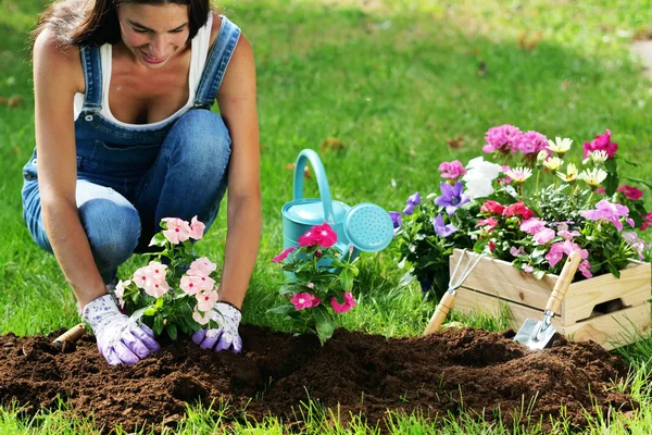 Uma Mulher Bonita Seu Jardim Plantar Flores Coloridas Para Dar — Fotografia de Stock