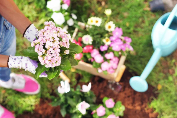 Una Mujer Hermosa Jardín Plantar Flores Colores Para Dar Color — Foto de Stock