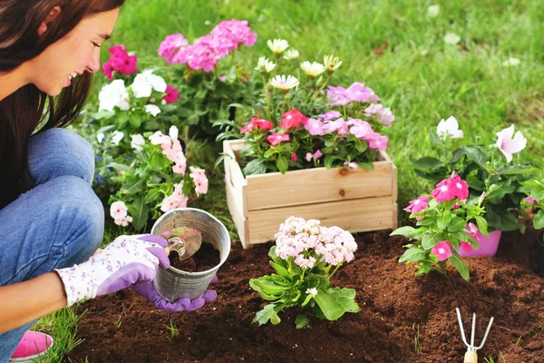 Una Bella Donna Nel Suo Giardino Pianta Fiori Colorati Dare — Foto Stock