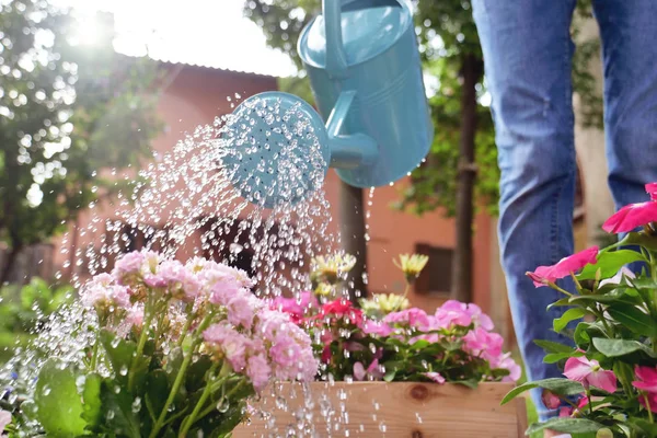 Uma Mulher Bonita Seu Jardim Água Com Uma Lata Molhando — Fotografia de Stock