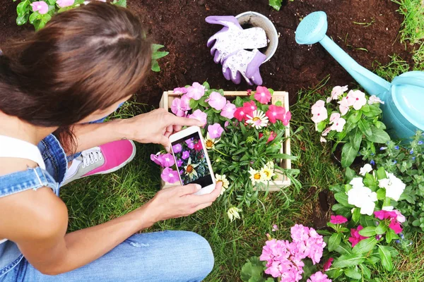 Una Donna Mentre Utilizza Telefono Giardinaggio Con Fiori Colorati Dare — Foto Stock