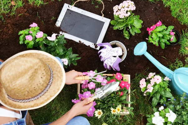 Uma Mulher Faz Jardinagem Com Flores Coloridas Para Dar Cor — Fotografia de Stock