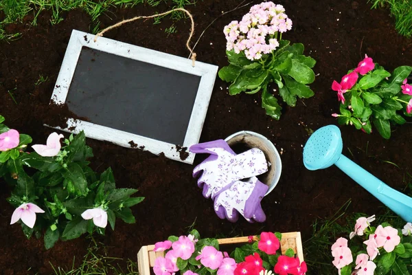 Várias Ferramentas Pequeno Quadro Negro Conceito Jardinagem App — Fotografia de Stock
